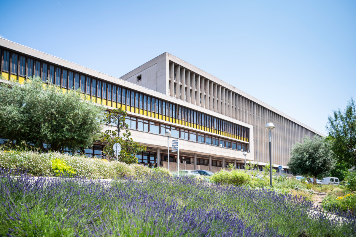 Campus La Timone - Marseille 5th arrondissement