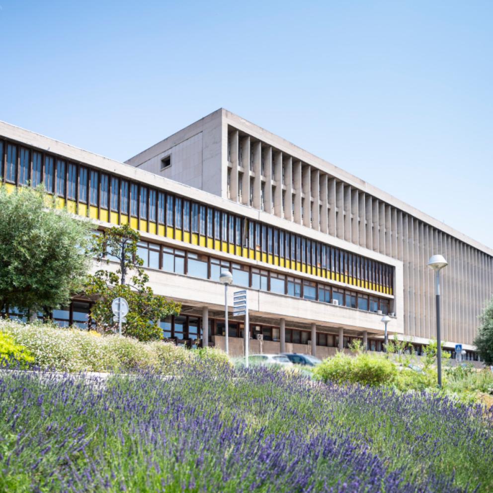 Campus La Timone – Marseille 5ème